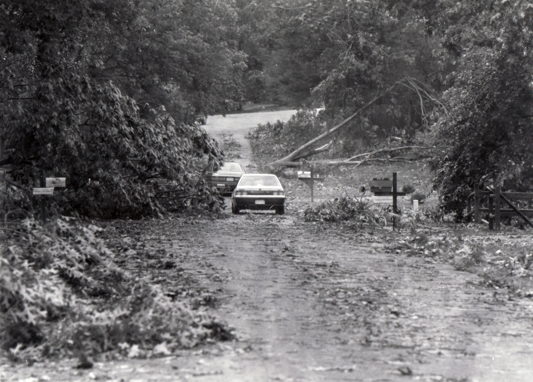Windstorm of 1993